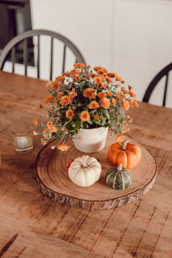 fall_forwebsite